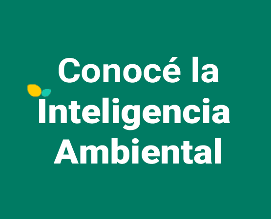 Publicidad